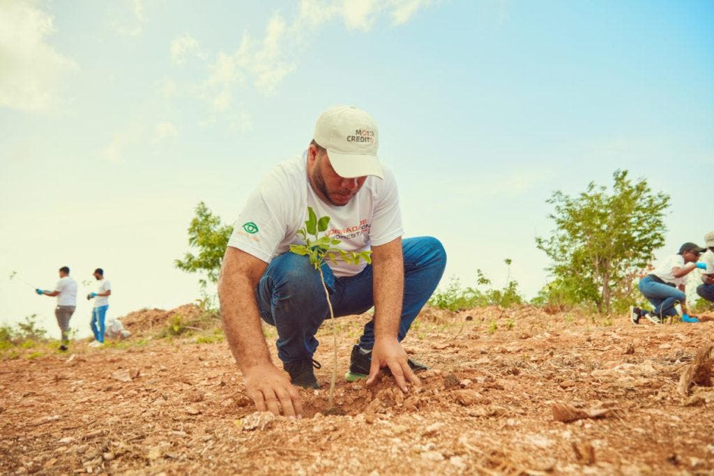 Motor Crédito se une a jornada de reforestación en avenida Ecológica de Santo Domingo