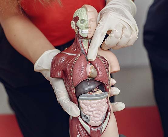 Dextrocardia: Una anomalía que pocos conocen