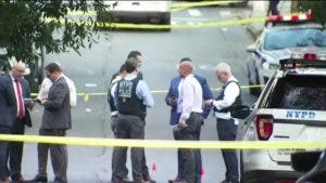 Adultos y niños heridos de balas en parque de El Bronx