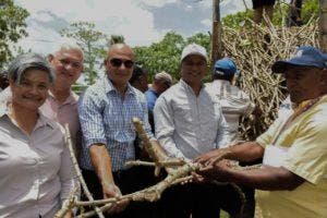 Agricultura prepara tierra y entrega material de siembra en SPM