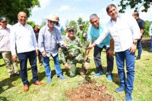 Abren vivero de coco campamento militar