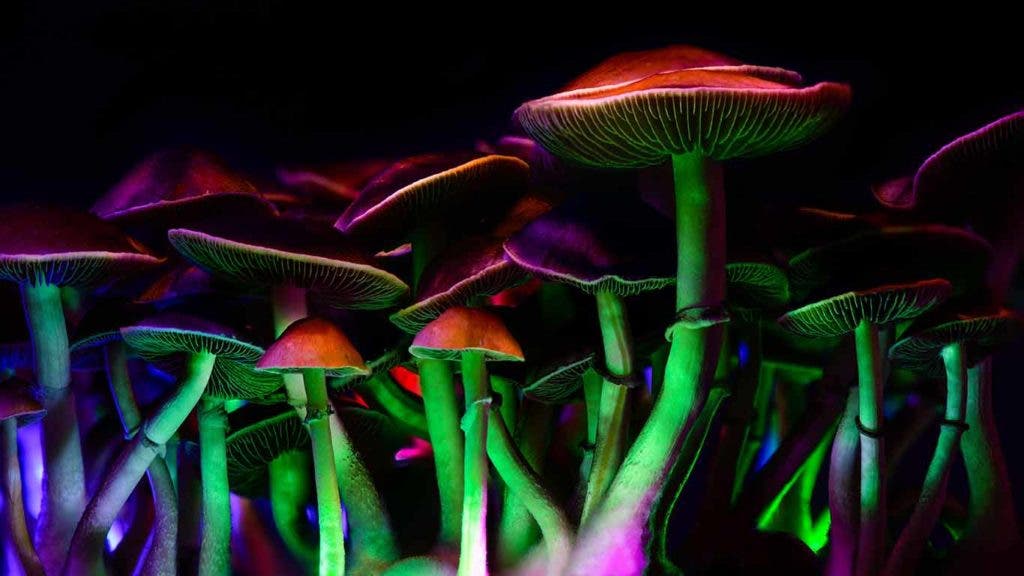 Australia ya receta drogas psicodélicas para tratar la salud mental