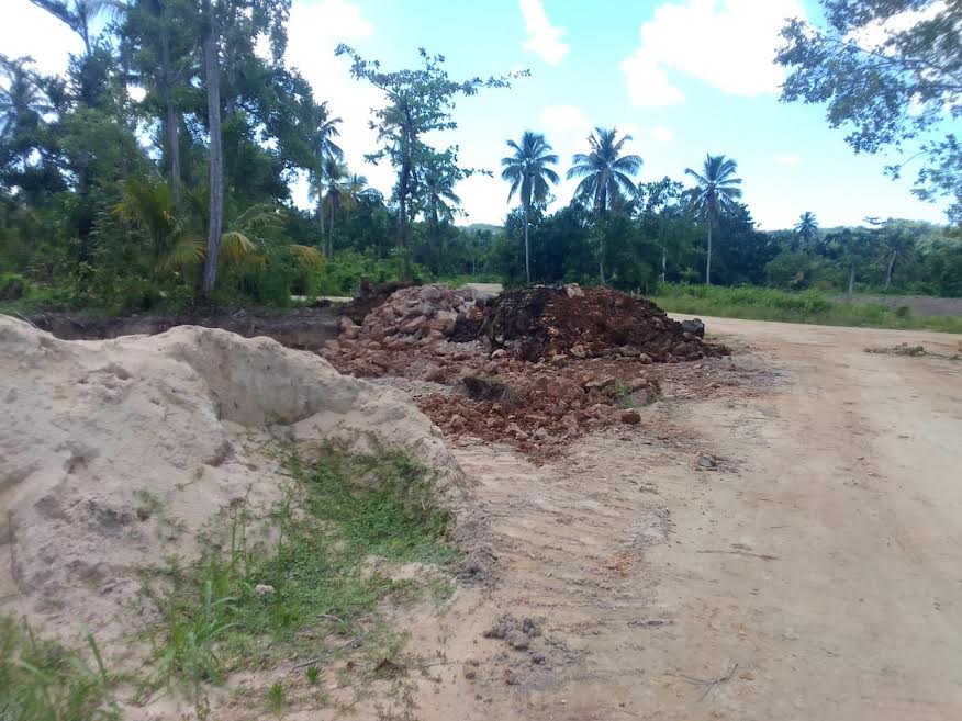 Por dañar bosque paralizan construcción de hotel Samaná