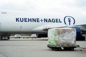 Kuehne+Nagel dice Centroamérica emerge como motor de logística mundial