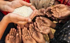 Crisis alimentos