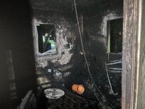 PN apresa uno intentó “quemar viva”abuela en Dajabón