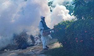 Fumigan por dengue