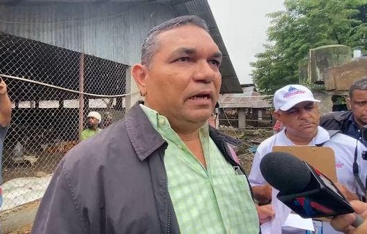 Avicultores valoran apoyo del Gobierno con subsidio a gallinas ponedoras