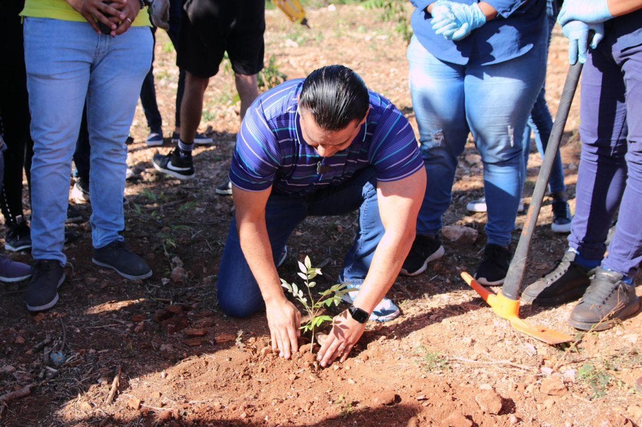 Luis Alberto trabajará por un SDE verde; realiza jornada de reforestación
