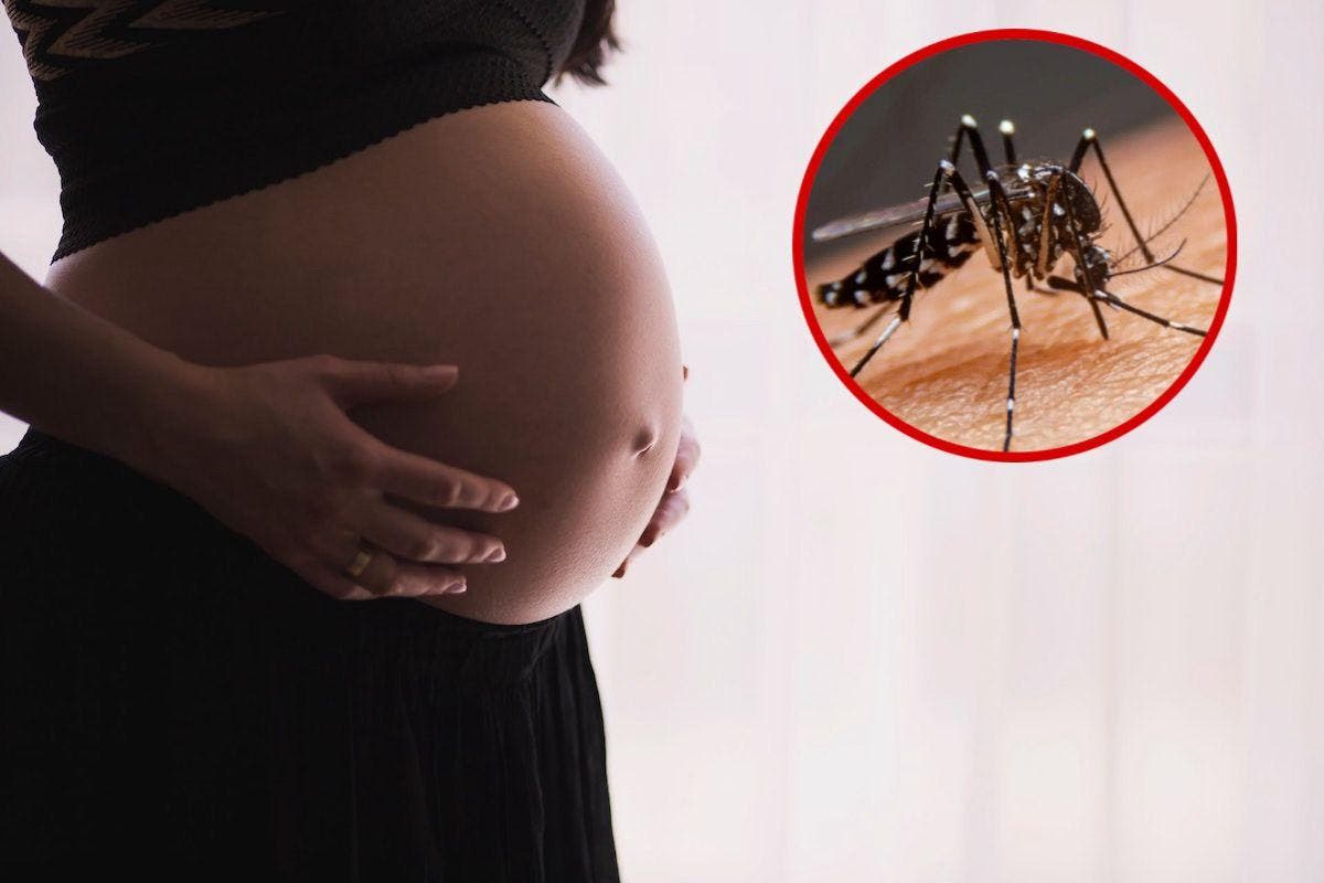 Confirman primer caso de dengue por transmisión intrauterina en RD