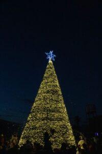 Christmas Farm inicia temporada navideña en Tierra Tropical