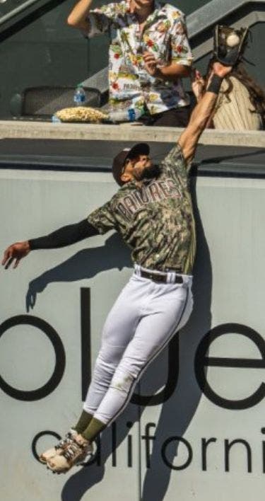 Tatis Jr.: Jugador defensivo del año MLB