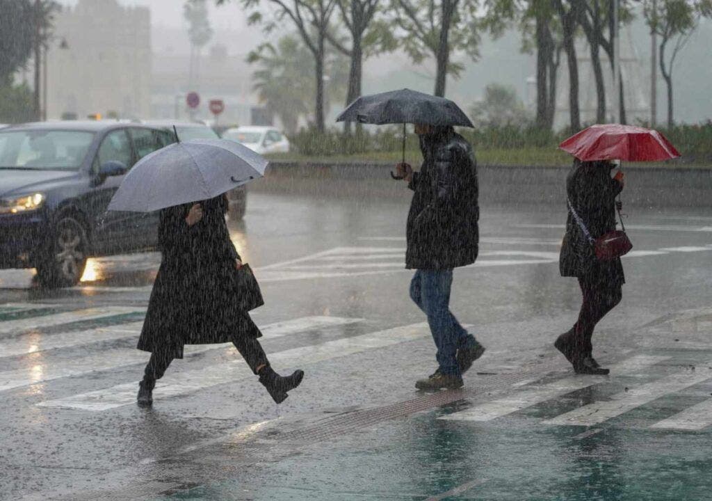 Indomet pronostica aguaceros, tormentas eléctricas y ráfagas de viento este viernes