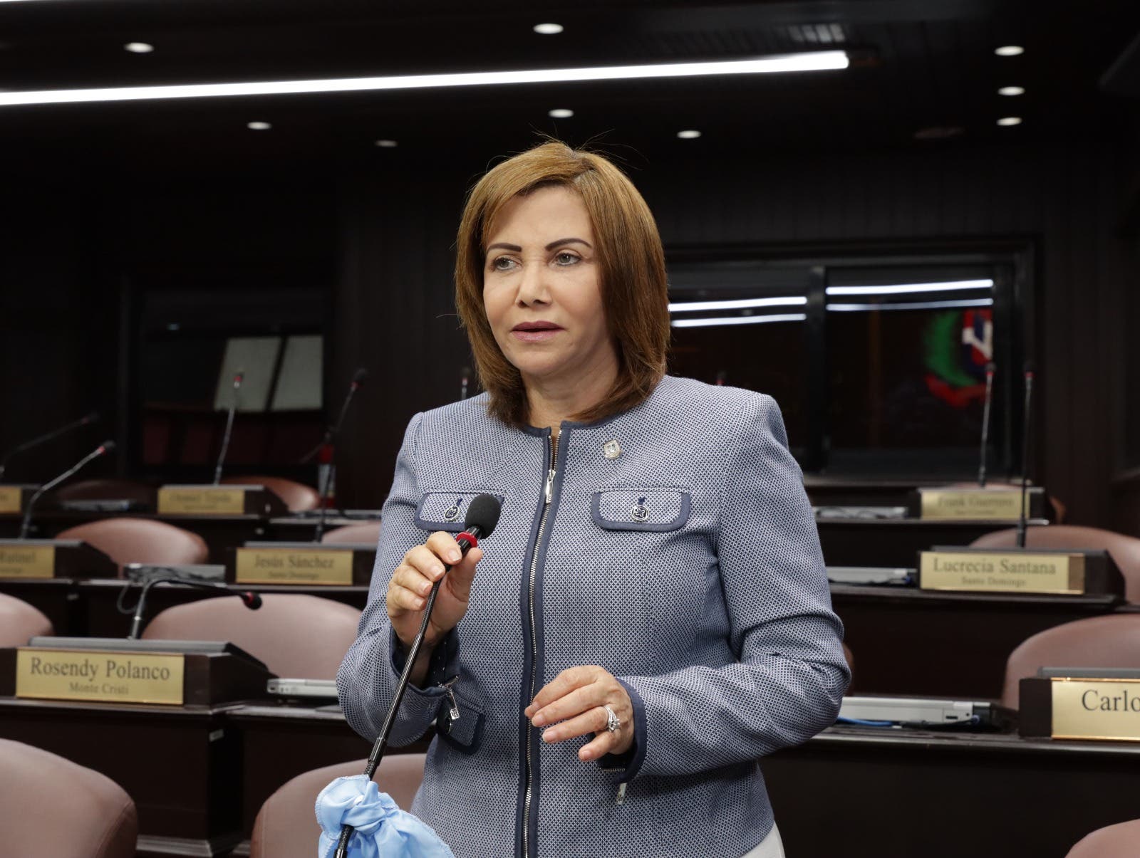 Diputados aprueban propuesta de escuela virtual para dominicanos en el exterior