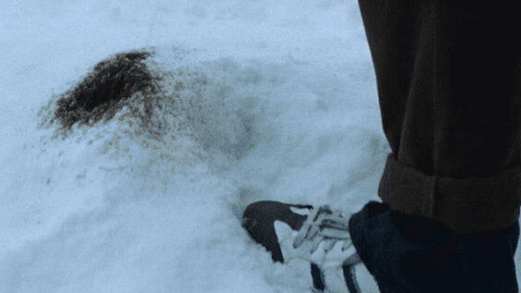 ¿Por qué los sobrevivientes de la tragedia de los Andes orinaban negro como muestra "La sociedad de la nieve"?