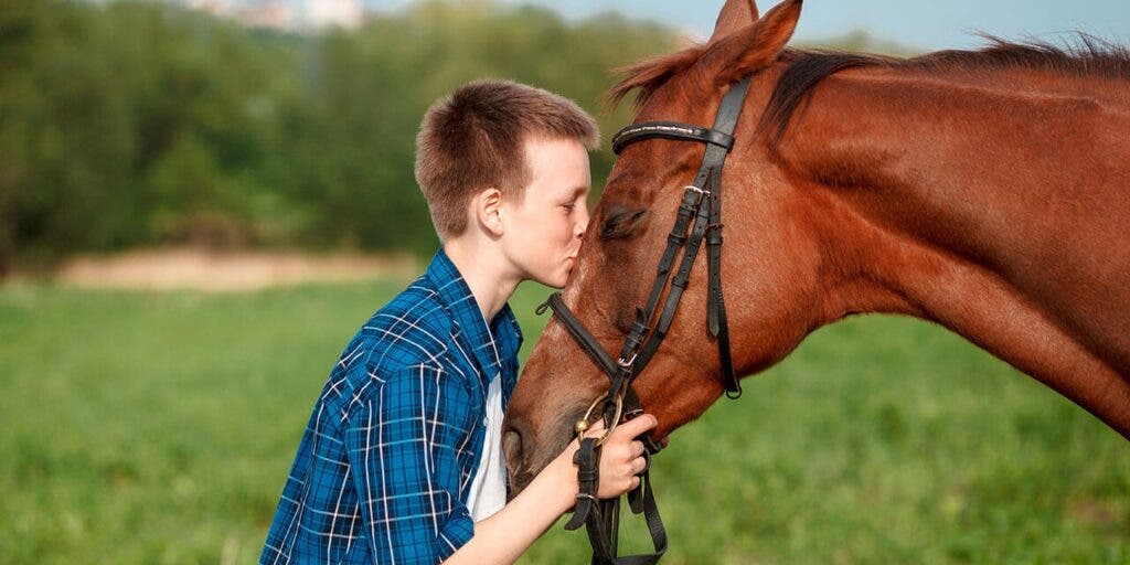 Caballos que sanan: el poder curativo de la equinoterapia