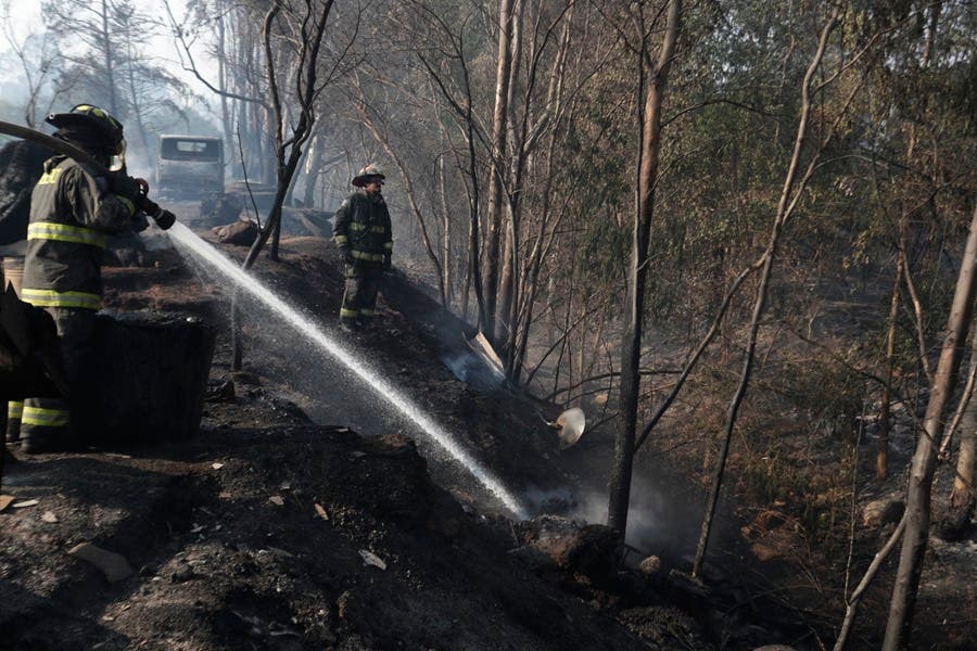 Incendios letales y la cancelación a última hora de Peso Pluma marcan el Festival de Viña