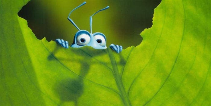 Una docuserie de National Geographic sigue las aventuras en miniatura de los insectos