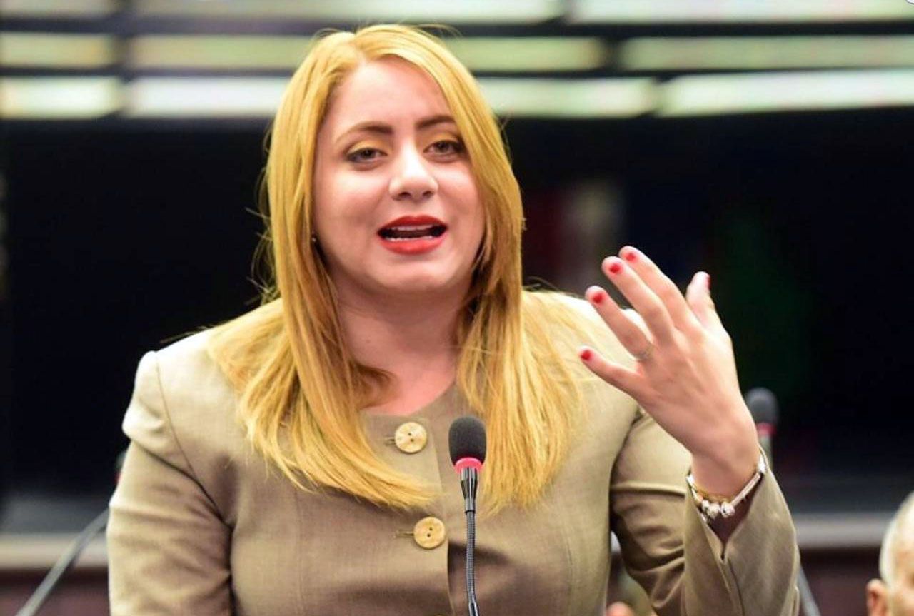 Gloria Reyes habla de la pobreza de RD en las Naciones Unidas