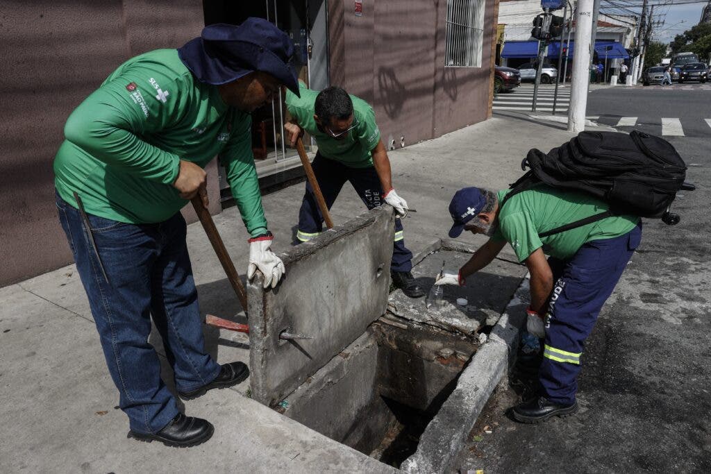 El populoso estado brasileño de São Paulo declara estado de emergencia por dengue