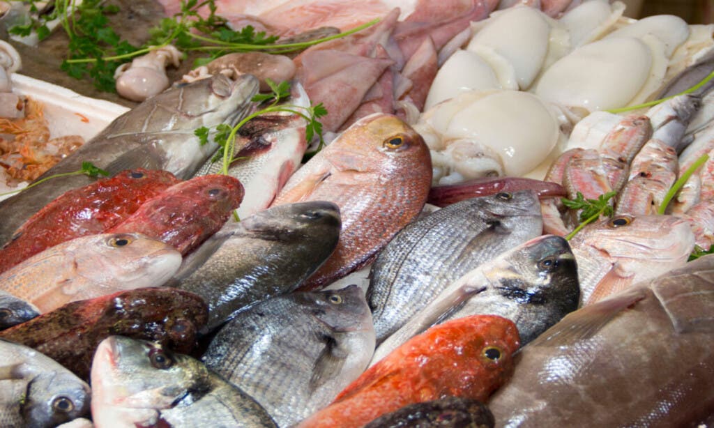 Pescados y mariscos para mantener tradición en SS