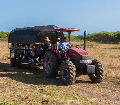 Un Safari Tropical en Baní, una opción diferente para turismo interno