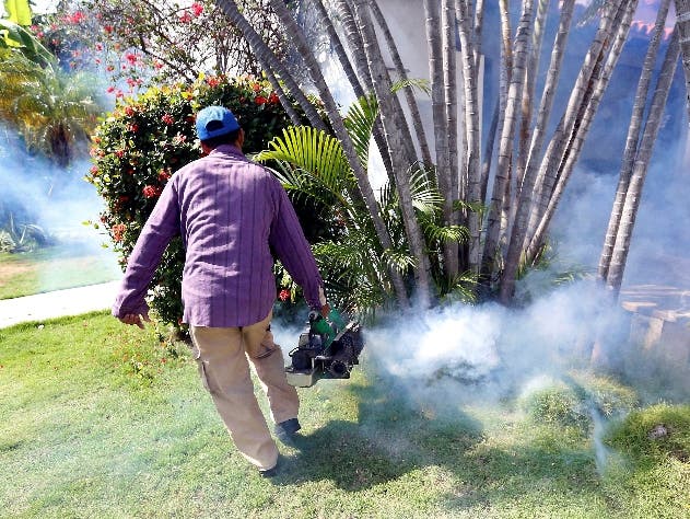 Jornada: Contra dengue