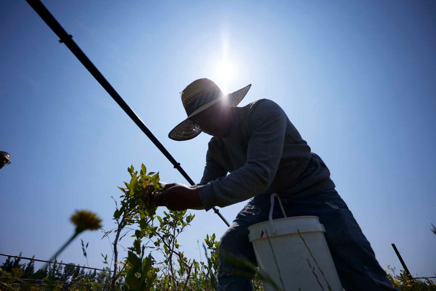 La salud del 71 % de trabajadores activos del mundo está en riesgo por el cambio climático