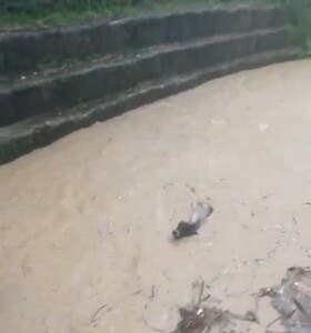 Lluvias dejan pérdidas millonarias en Blanco Arriba, Tenares