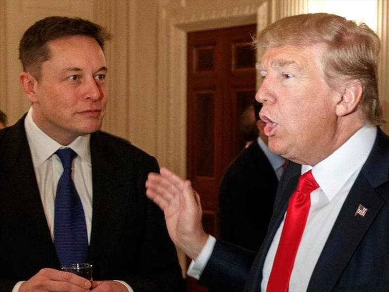 Trump planteó a Elon Musk darle un cargo de consejero si gana las elecciones, según el WSJ     