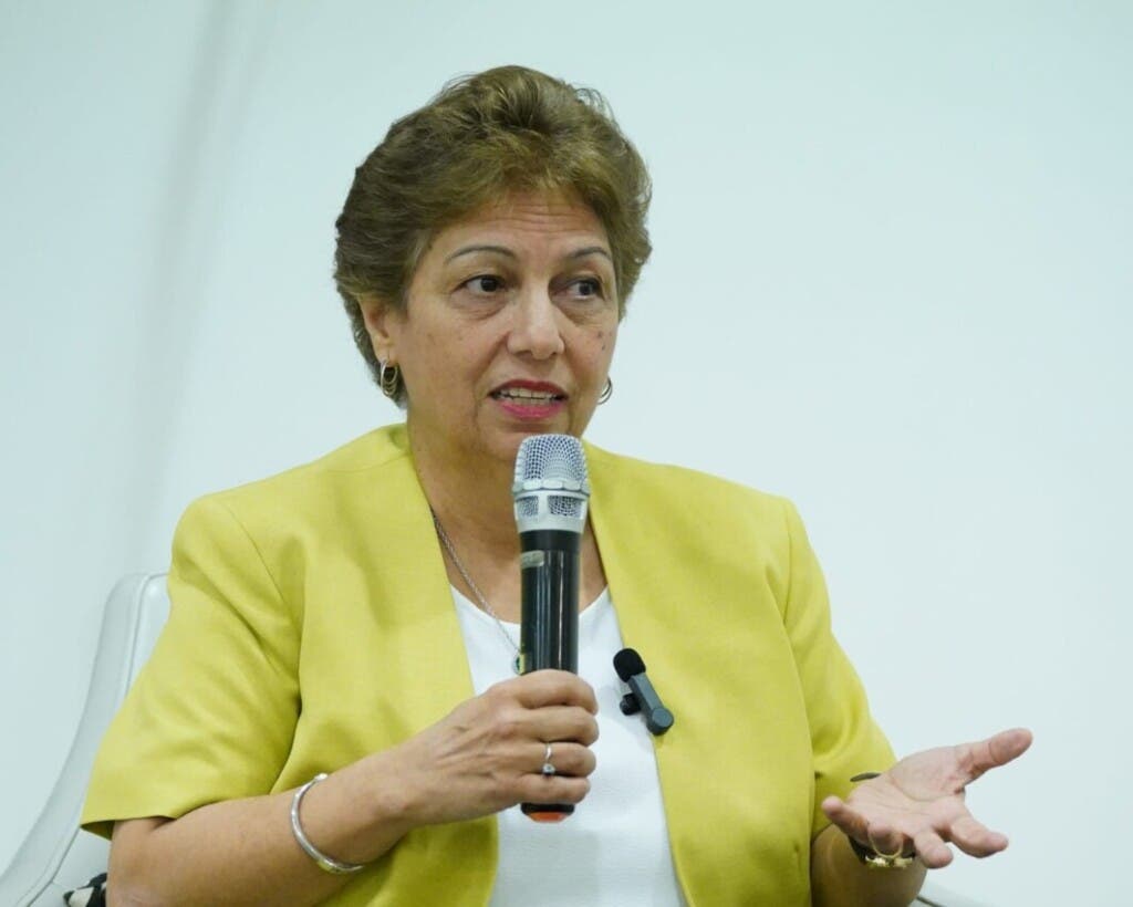 Ve división del PLD como una posible explicación a alta abstención electoral