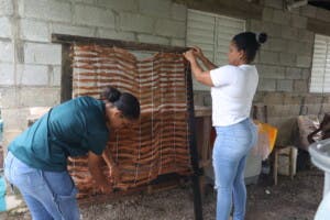 Mantas de coco, un negocio que fomenta el desarrollo económico de Hatillo