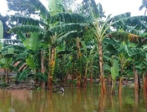 Por inundaciones: Zona desastre