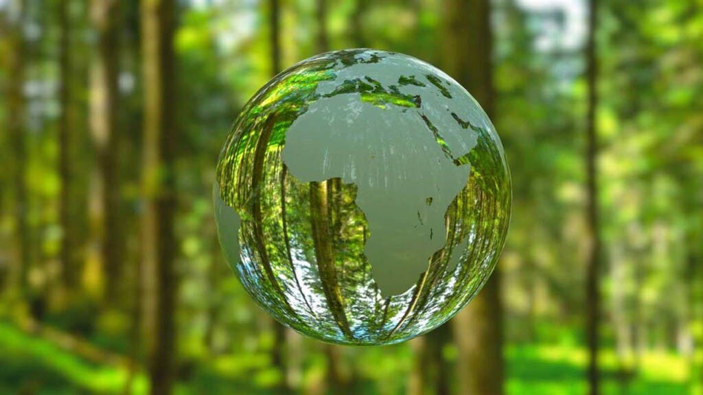 El 80 % de habitantes del planeta quiere mayor acción climática de Gobiernos, según PNUD