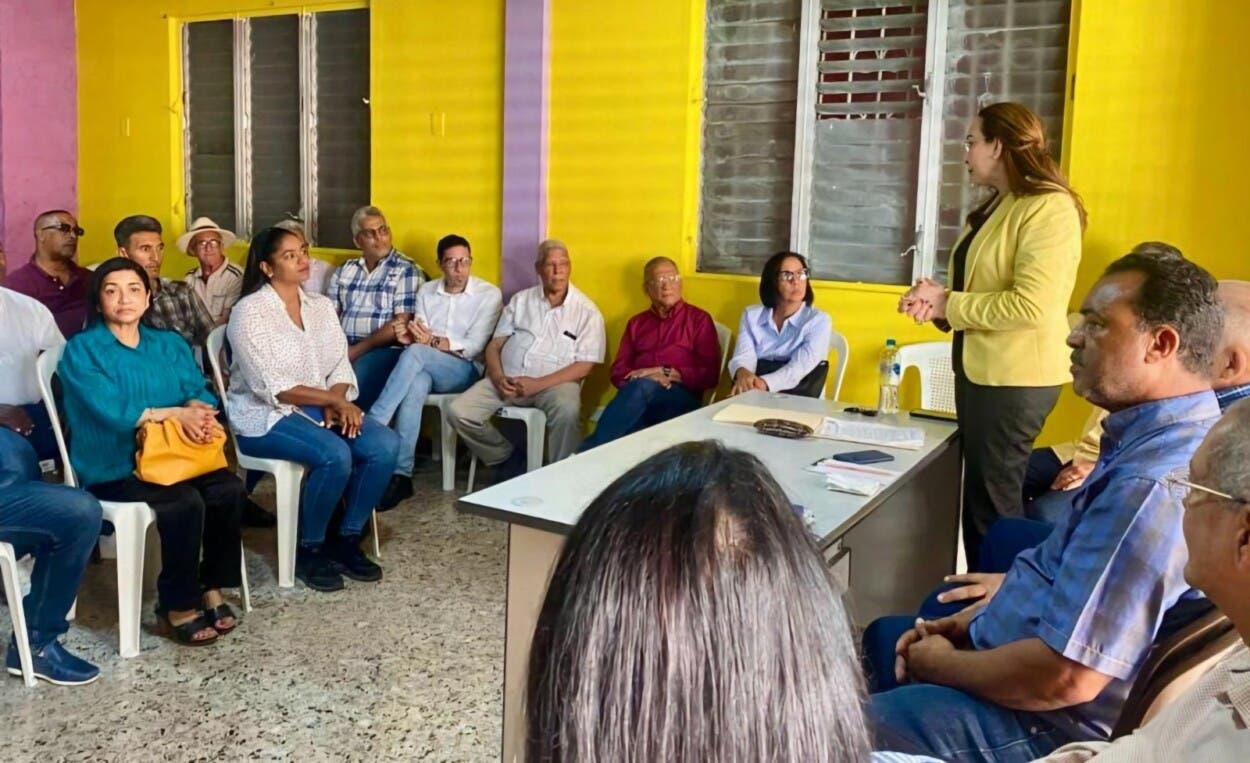 PLD trabaja con miras a realizar el X Congreso