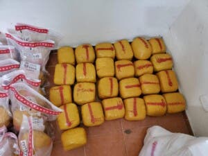Desmantelan red en Santiago y confiscan más de 500 libras presumiblemente de marihuana
