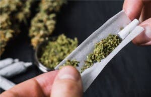Caída del mercado de la marihuana legal genera incertidumbre en Colorado y California