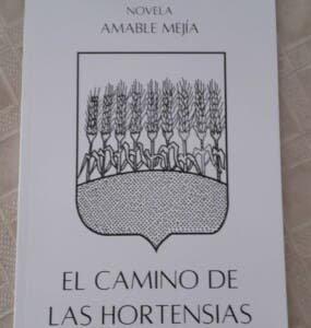 El camino de las hortensias