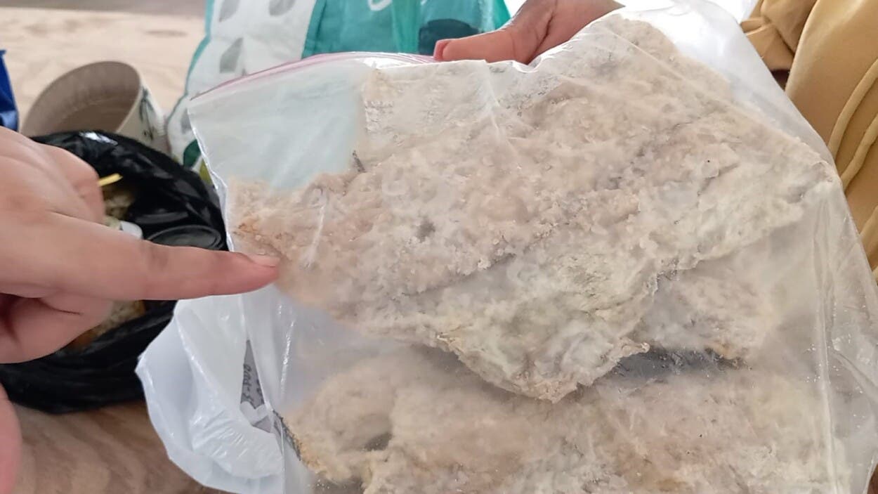Donan equipos para empacar bacalao en Pedernales