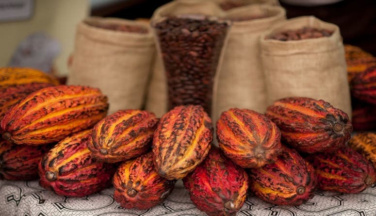 Exportaciones agropecuarias dominicanas crecieron un 38,5 % interanual en el mes de mayo