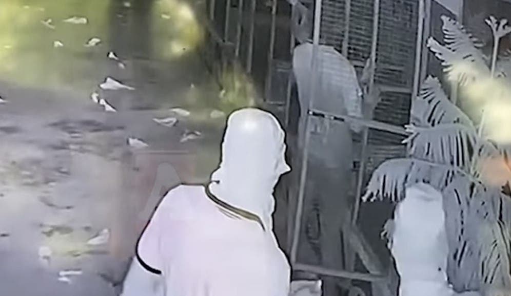 Fotografía tomada de una cámara de seguridad en momentos que los ladrones roban los 42 gallos de pelea