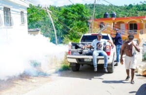 Confirman 991 casos de dengue entre enero-julio