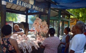 Se agudiza crisis del pollo en la capital
