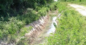 Advierten sedimentación canal Nizaito afectará producción agrícola y ganadera en Oviedo