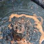 Estudio confirma la existencia de hidrocarburos en varias cuencas de República Dominicana