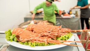 Harán festival de langosta en Punta Rucia