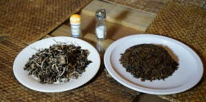 El yonyón, hongo fronterizo que enamora por su sabor
