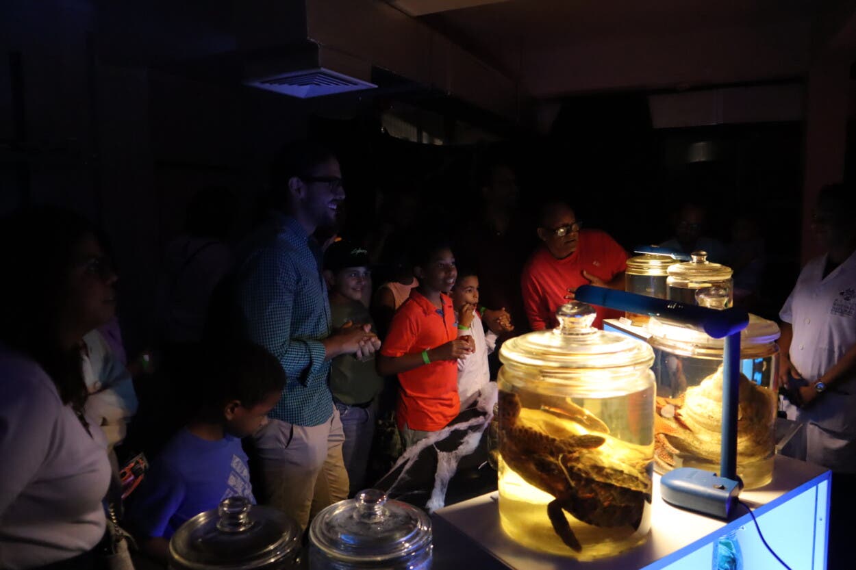 Museo Natural anuncia el evento ¡Las Brujas No Existen! en su 7ma versión