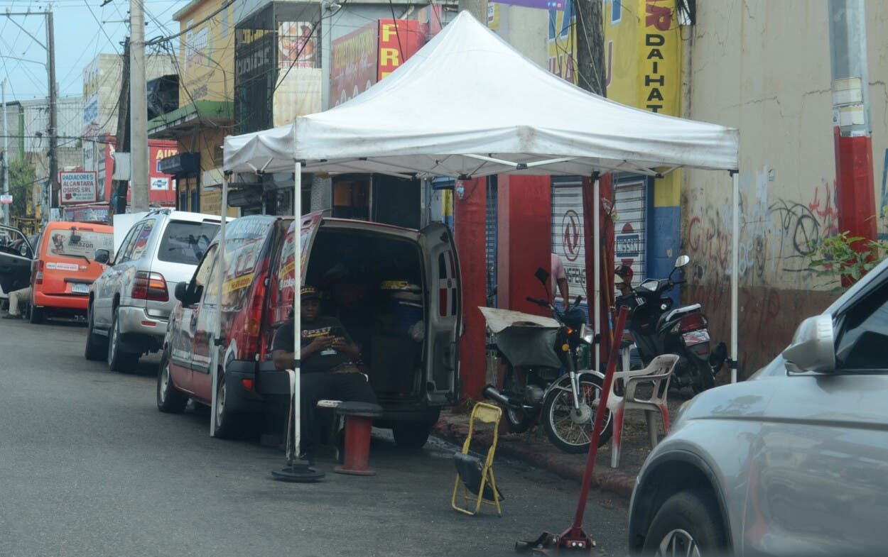 Proliferan carpas