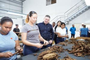 Abren fábrica de tabaco en San Juan para promover el desarrollo industrial